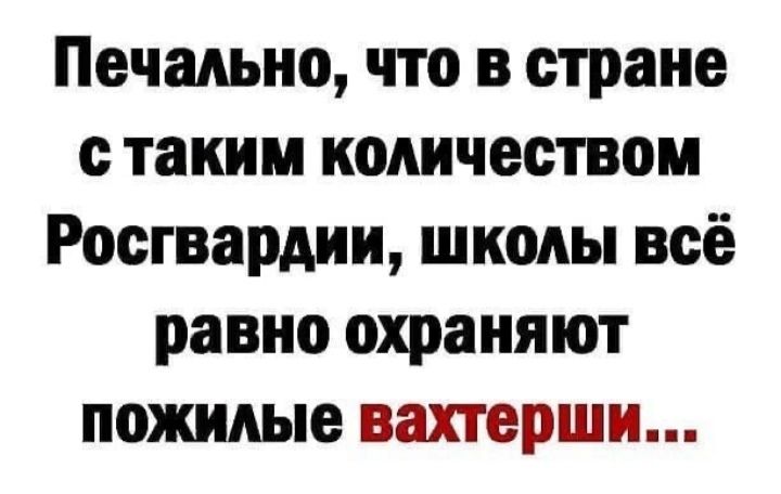 Печально что в стране с таким количеством Росгвардии школы всё равно охраняют пожилые вахтерши