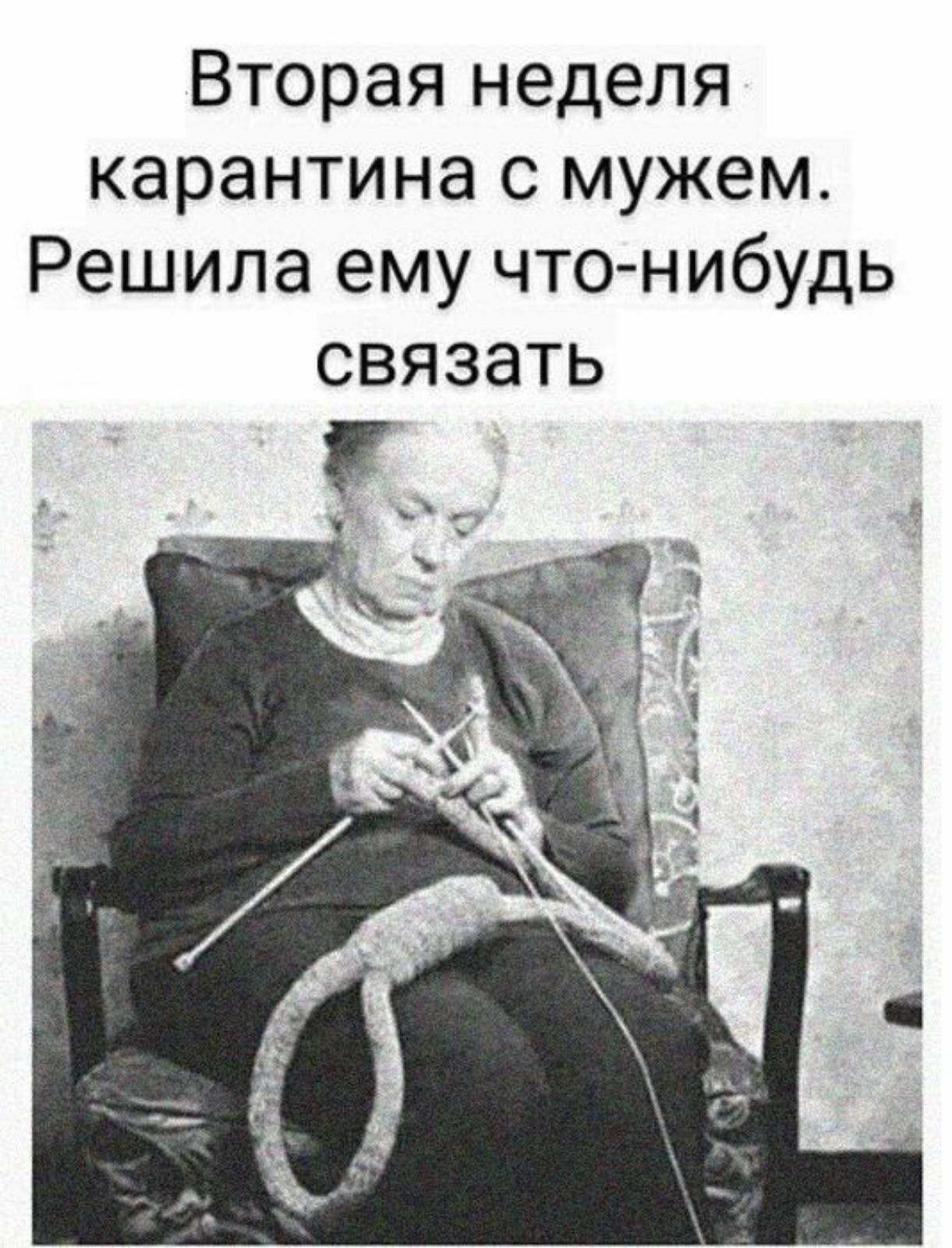 С Началом Карантина Веселые Картинки