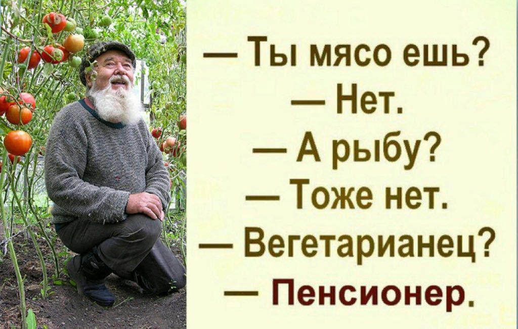і Ты мясо ешь Нет А рыбу Тоже нет Вегетарианец Пенсионер