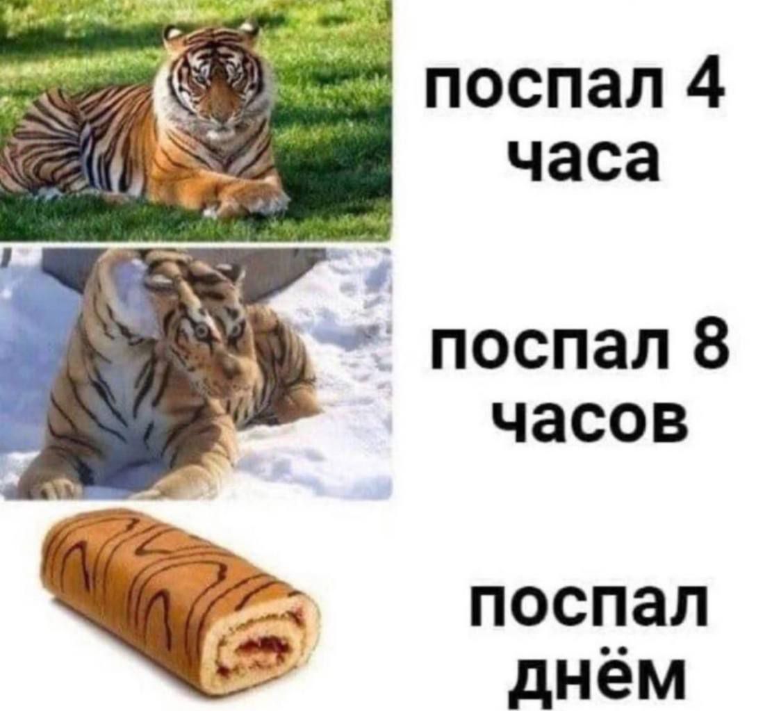 поспал 4 часа ЧЭСОВ поспал днём