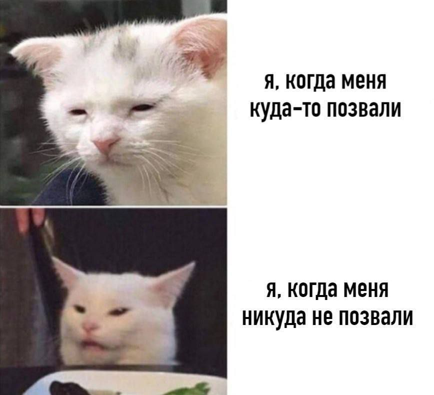 Я когда МЕНЯ куда то ПОЗВЗЛИ Я когда МЕНЯ никуда НЕ ПОЗВЭЛИ