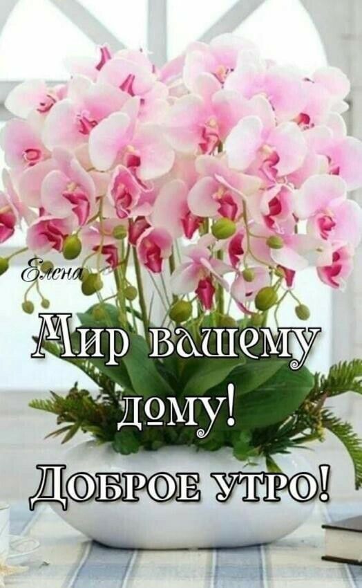 Дппп _
