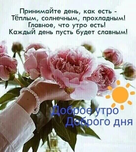 Принимайте день как есть Тёплым солнечным прохладным Главное что утро есть Каждый день пусть будет славным