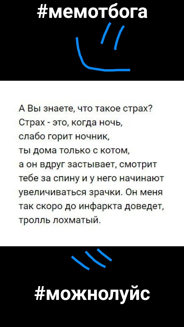 мемотбога А Вы знаете что такое страх Страх это когда ночь слабо горит ночник ты дома только с котом а он вдруг застывает смотрит тебе за спину и у него начинают увеличиваться зрачки Он меня так скоро до инфаркта доведет тролль лохматый можнолуйс
