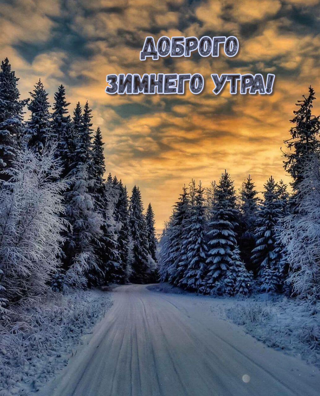 Зимнето улеа  х ю