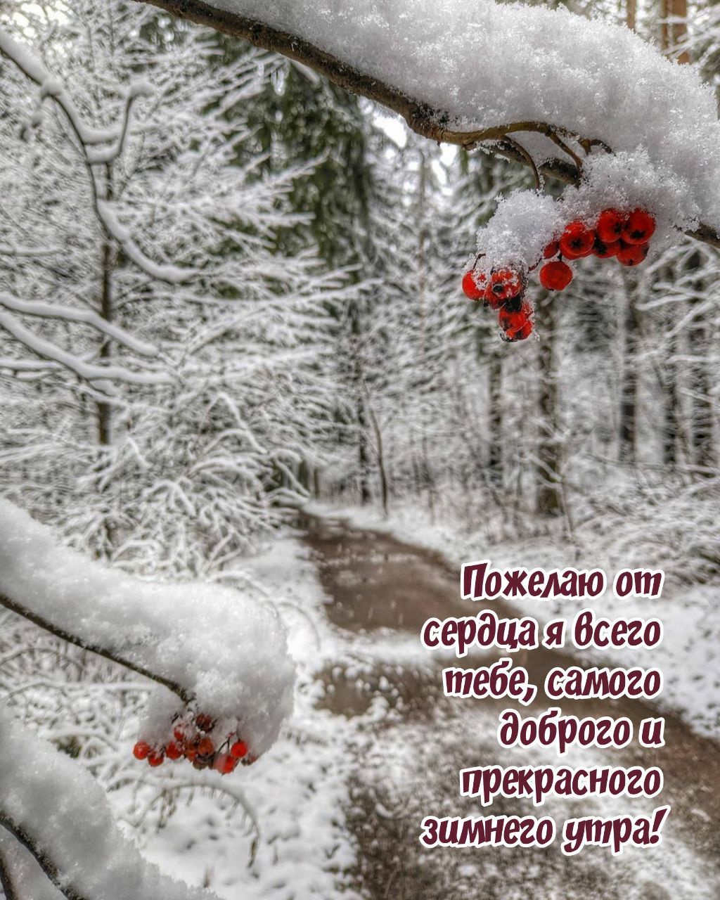 Р  ' ь сердцаля, всего