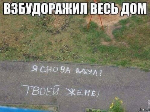 взвидпгджипдюь дом ЗСНОВА БАУ 713057 Ханы __