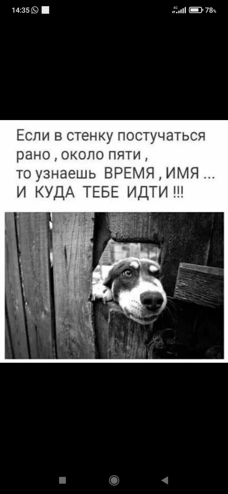 14355 п 76 Если в стенку постучаться рано Около пяти то узнаешь ВРЕМЯ ИМЯ И КУДА ТЕБЕ ИДТИ