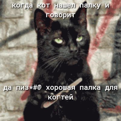 КОГ тей 4