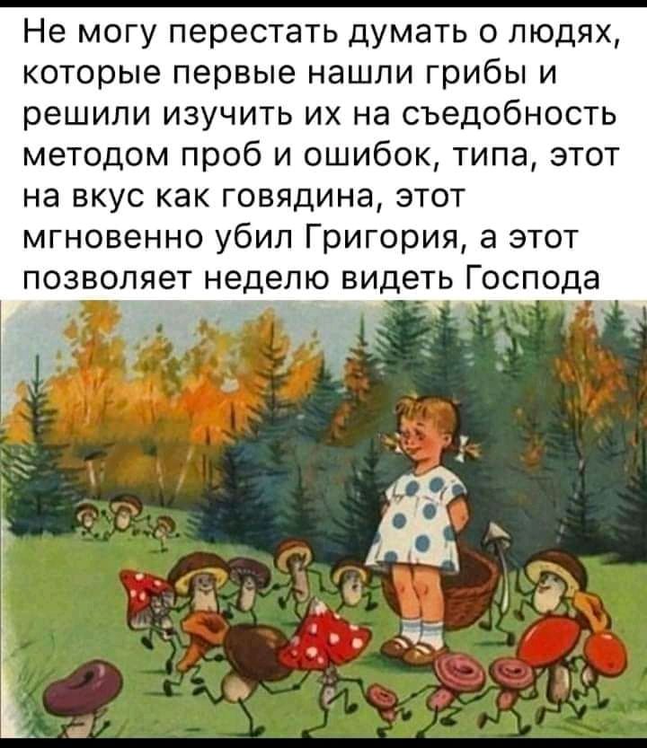 Не могу перестать думать о людях которые первые нашли грибы и решили изучить их на съедобность методом проб и ошибок типа этот на вкус как говядина этот мгновенно убил Григория а этот позволяет неделю видеть Господа