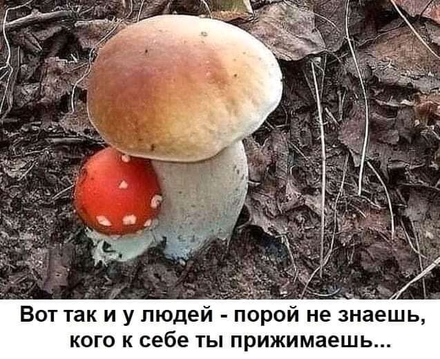 и Вот так и у людей порой не знаешь кого к себе ты прижимаешь
