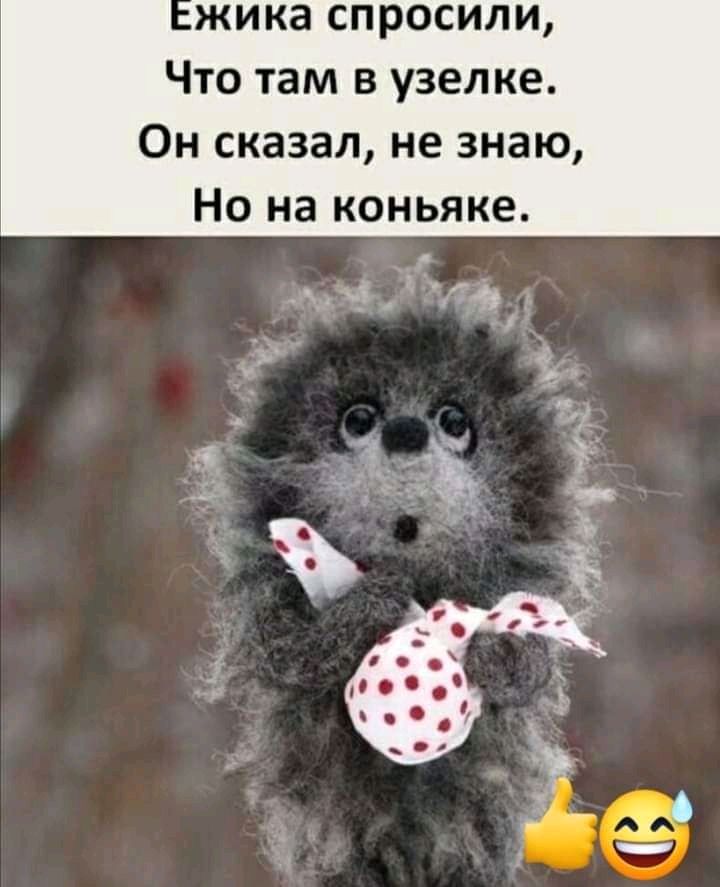 жика спросили Что там в узел ке Он сказал не знаю Но на коньяке