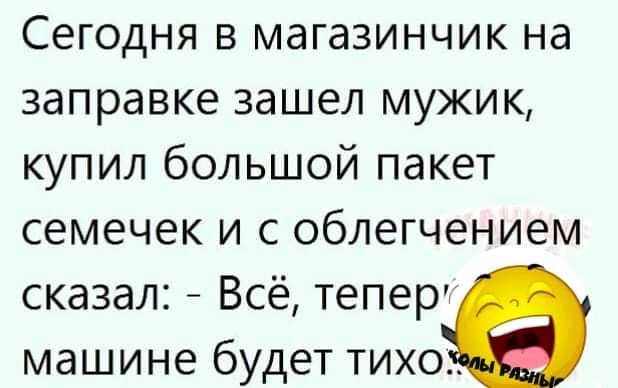 Сегодня в магазинчик на заправке зашел мужик купил большой пакет семечек и с облегчением сказал Всё теперт машине будет тихо