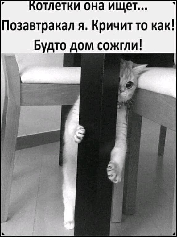 тл тки он ищ т озавтракал я Кричит то как Будто дом сожгли