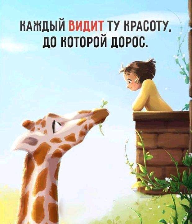 ндтдый видит_ту нрдсоту по истории дорос