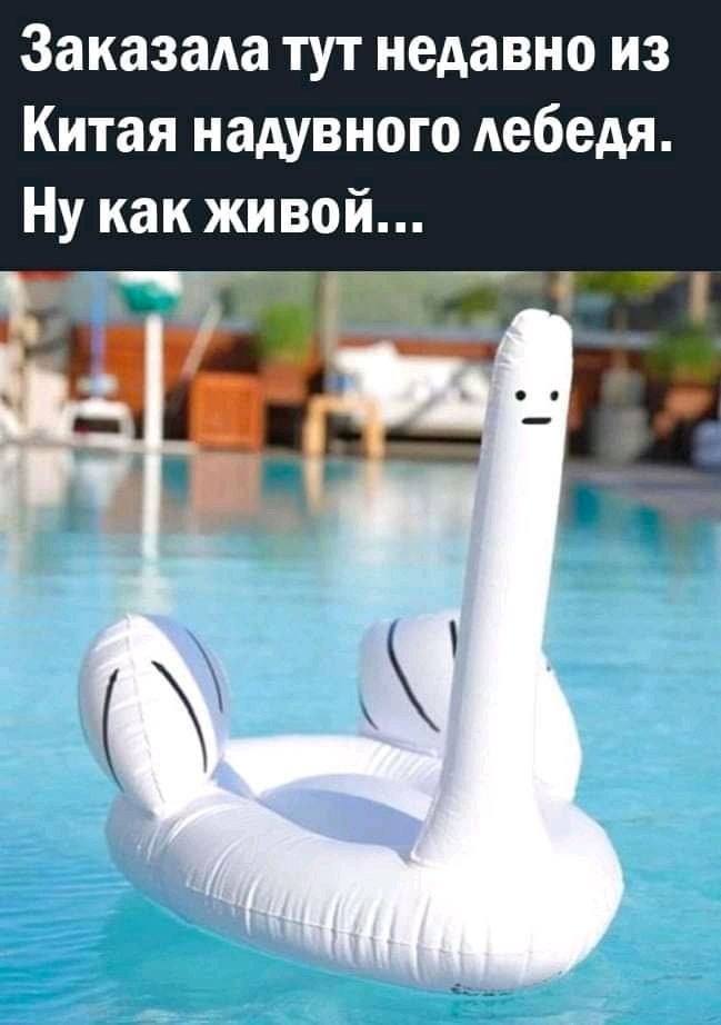 ЗаказаАа тут недавно из Китая надувного Аебедя Ну как живой