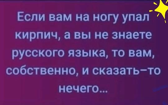 Если вам на ногу упал кирпич а вы не знаете русского языка то вам собственно и сказатьто нечего