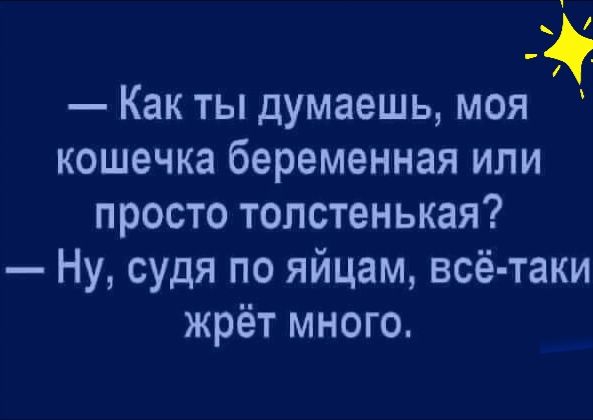 Как ты думаешь моя кошечка беременная или просто толстенькая Ну судя по яйцам всё таки жрёт много