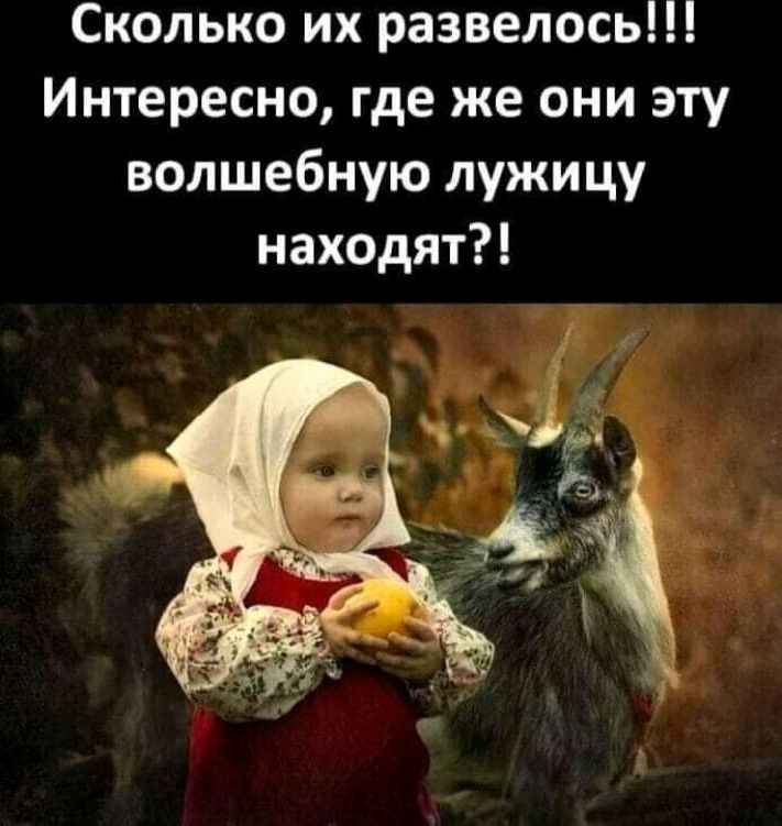 Сколько их развелось Интересно где же они эту волшебную лужицу находят Ё