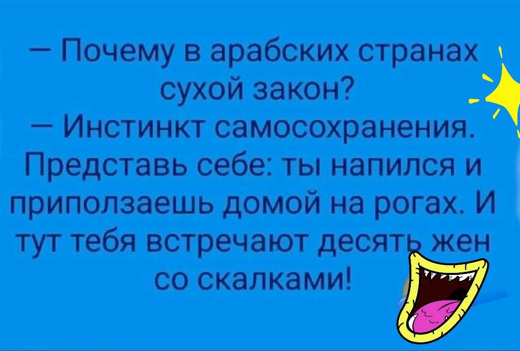 Почему в арабских странах сухой закон Инстинкт самосохранения Представь себе ты напился и приползаешь домой на рогах И тут тебя встречают десят жен со скалками