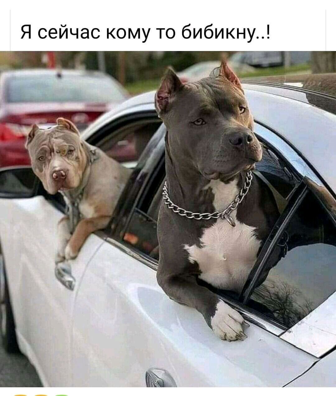 Я сейчас кому то бибикну Г __ Ё 1