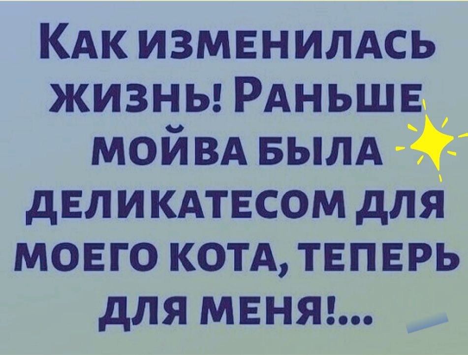 КАк измвнимсь жизны РАНЬШЕ мои ВА БЫЛА дЕЛИКАТЕСОМ для моего КОТА твпврь для мвняг