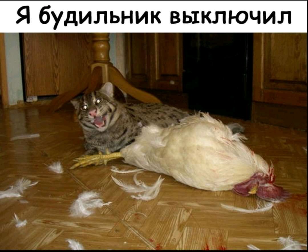 Я будильник выключил