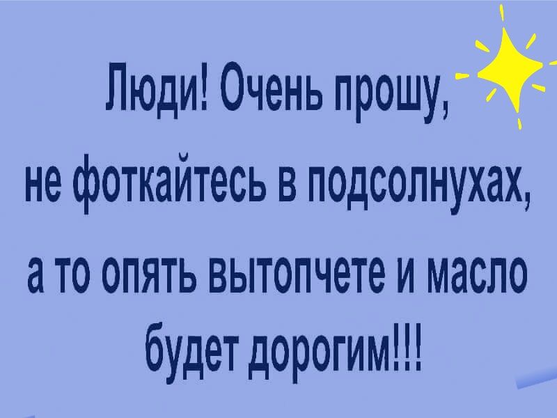 Люди Очень прошу не фоткайтесь в подсолнухах ато опять вытопчете и масло будет дорогим