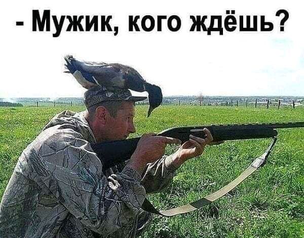 Мужик кого ждёшь