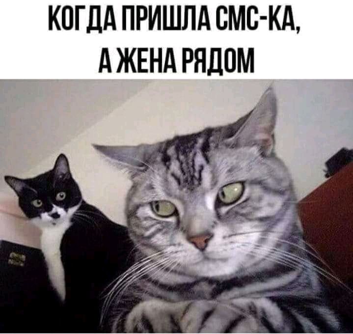 КОГДА ПРИШЛА СМС КА д ЖЕНА РЯДОМ