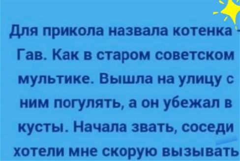 для прикола назвала котенка Гав Как в старом советском мультике Вышла на улицу ним погулять а он убежал в кусты Начала звать соседи хотели мне скорую вызывать