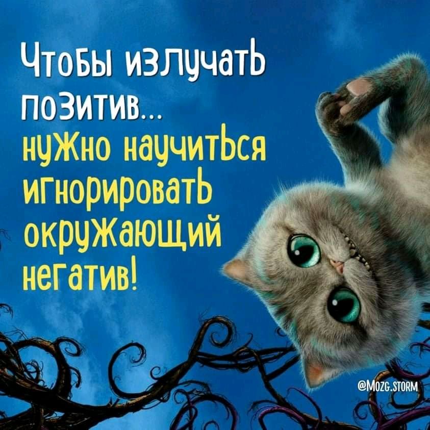 ЧтоБы излччатЬ ж позитив нчжНо наччитЬся игнорировать окрчжающий негатив ч 1 Ь 111 _ Э А Мпшшопм