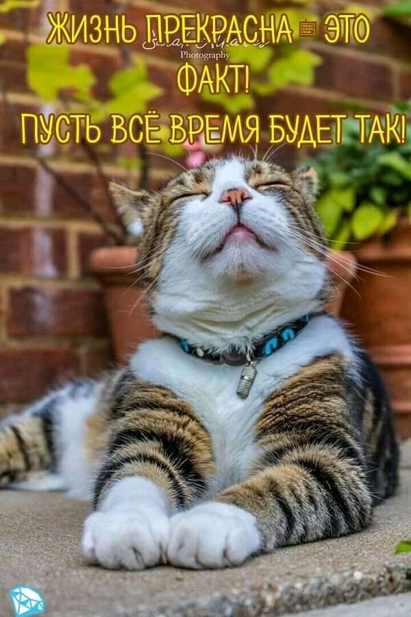 Р сщ гаг  э о