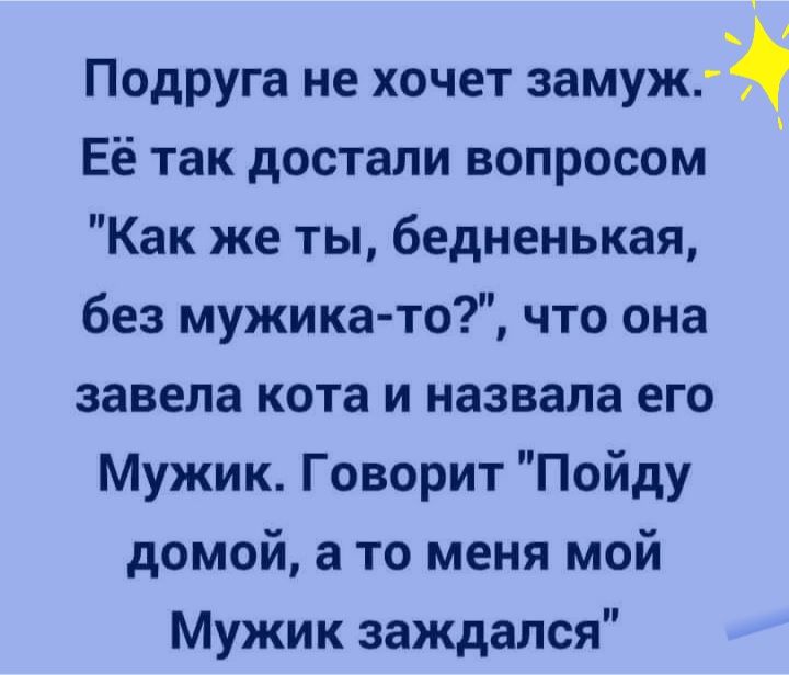 Подруга не хочет замуж Её так достали вопросом Как же ты бедненькая без мужика то что она завела кота и назвала его Мужик Говорит Пойду домой а то меня мой Мужик заждался