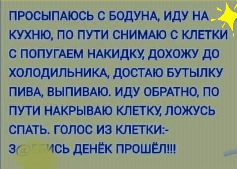 ПРОСЫПАЮСЬ С БОДУНА ИДУ НА КУХНЮ ПО ПУТИ СНИМАЮ С КЛЕТКИ С ПОПУГАЕМ НАКИДКУ дОХОЖУ дО ХОЛОДИЛЬНИКА дОСТАЮ БУТЫЛКУ ПИВА ВЫПИВАЮ ИДУ ОБРАТНО ПО ПУТИ НАКРЫВАЮ КЛЕГКХ ЛОЖУСЬ СПАТЬ ГОЛОС ИЗ КЛЕПИ 3 1СЬ ДЕНЁК ПРОШЕЛ