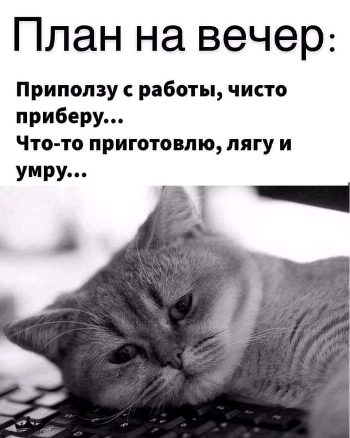План на вечер Приползу работы чисто приберу Что то приготовлю лягу и умру
