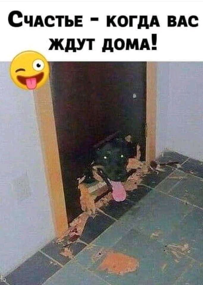 СЧАСТЬЕ когдА ВАС ждут домд