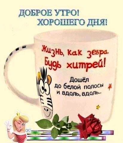 дОБРОЕ УТРО ХОРОЕПЕГО дНЯП зщ их зови 59 хитрой довыджмош Бдщьддадй