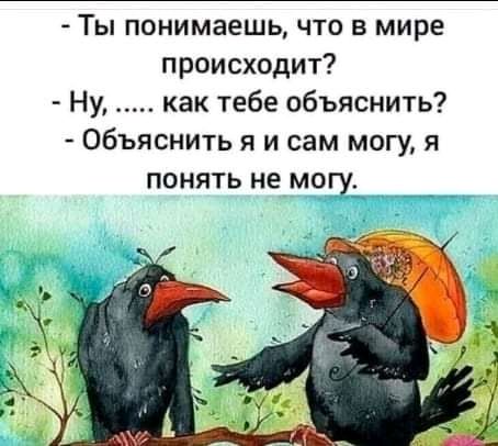 Ты понимаешь что в мире происходит Ну как тебе объяснить Объяснить я и сам могу я понять не могу