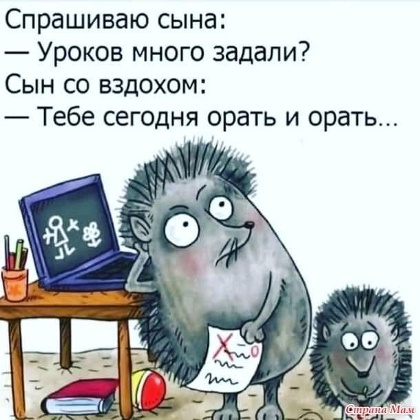 Спрашиваю сына Уроков много задали Сын со вздохом Тебе сегодня орать и орать
