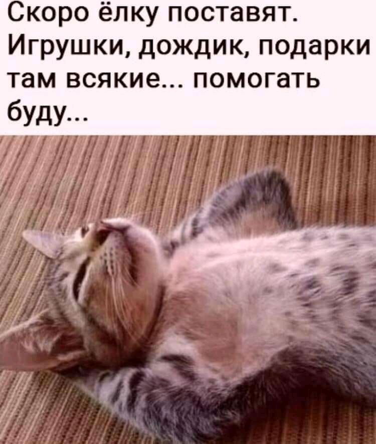Скоро ёлку поставят Игрушки дождик подарки там всякие помогать