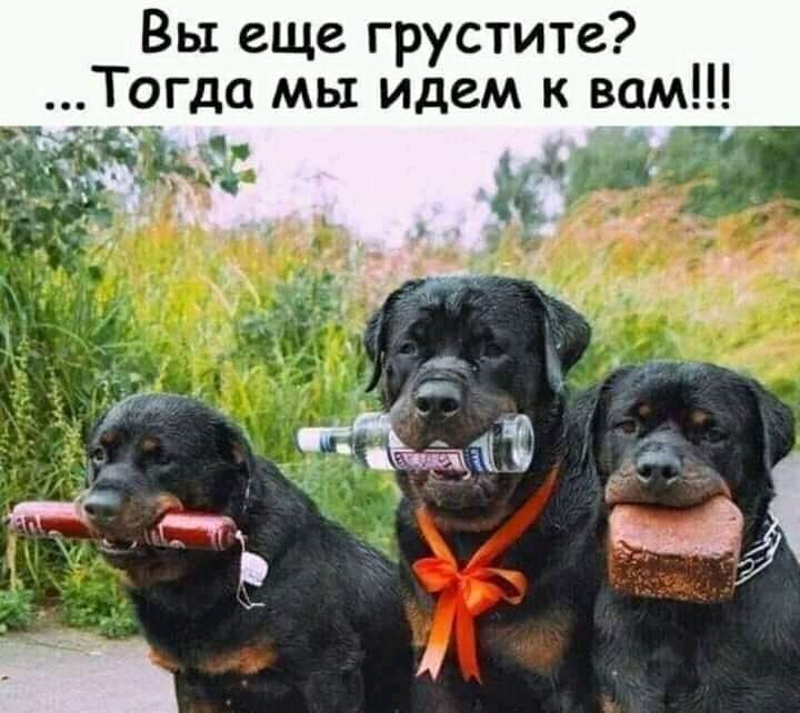 Вы еще грустите _Тогда мы идем к вам