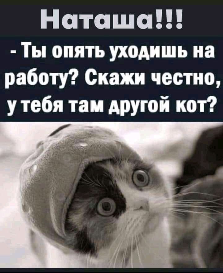 Наташа Ты опять уходишь на работу Скажи честно у тебя там АРУгой кот