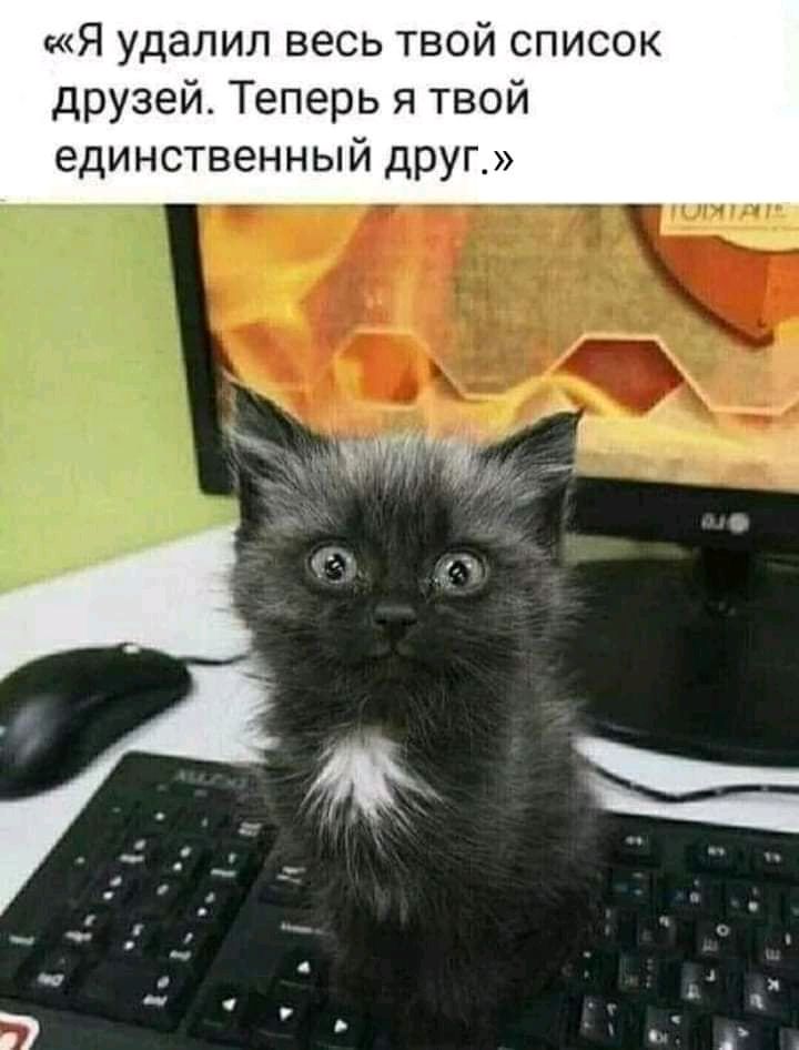 Я удалил весь твой список друзей Теперь я твой единственный друг _ мнит