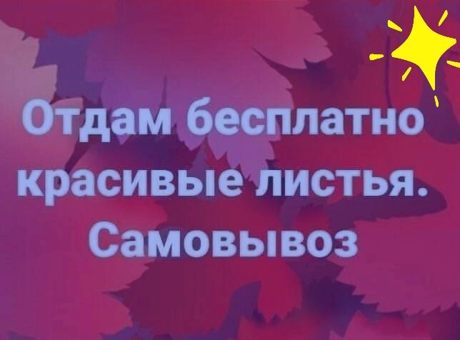Отдам расплатно красивыё листья Самовывоз