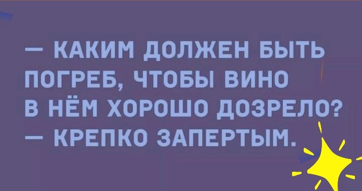 КАКИМ дОЛЖЕН БЫТЬ ПОГРЕБ ЧТОБЫ ВИНО В НЁМ ХОРОШО дОЗРЕЛО КРЕПКО ЗАПЕРТЫМ і