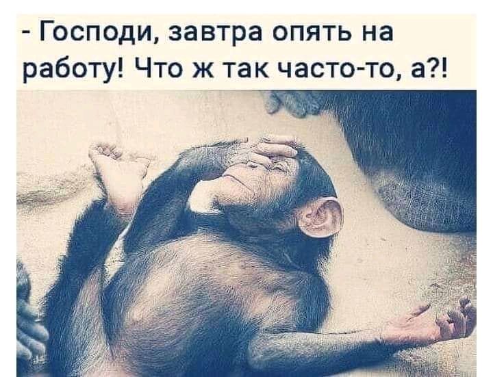 Господи завтра опять на работу Что ж так часто то а