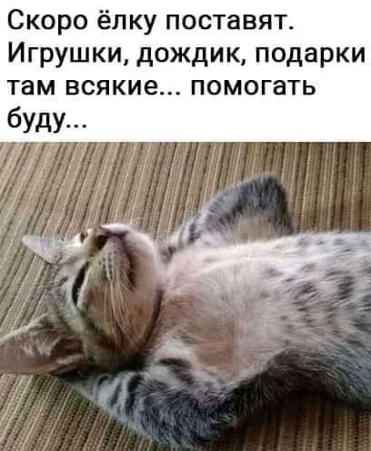 Скоро ёлку поставят Игрушки дождик подарки там всякие помогать