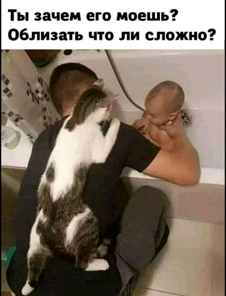 Ты зачем его моешь Облизать что ли сложно