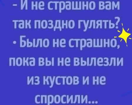 И не страшно вам так поздно гулять_д Бьшо не страшней пока вы не вьшезли из кустов и не спросили